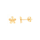 Wish of the Day Gold Stud Earrings - zaveribros.com